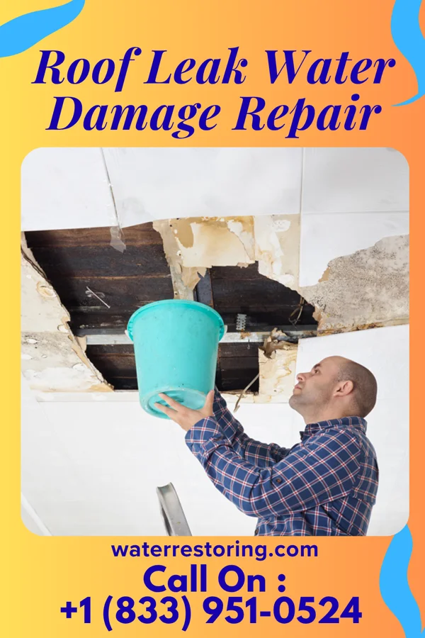 Roof Leak Water Damage Repair in Woodbine, IA